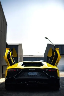 2014 Lamborghini Aventador 6.5 LP720-4 50 Anniversario Coupe full