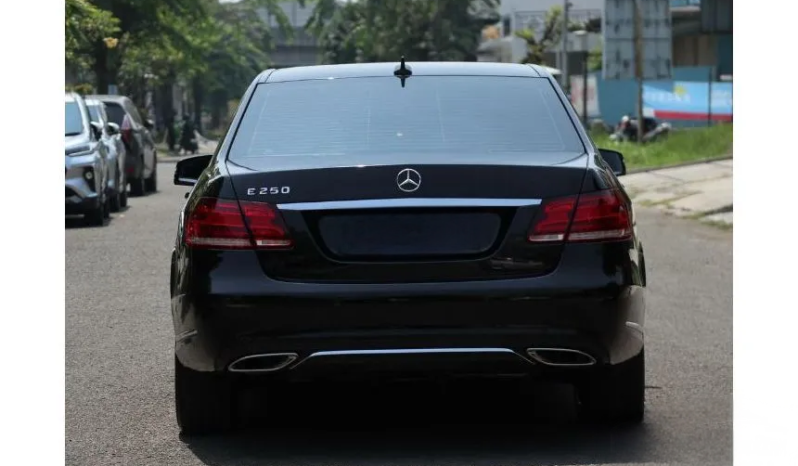 2014 Mercedes-Benz E250 2,0 Avantgarde Sedan full